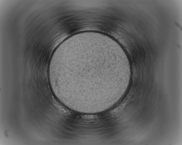 X0000095121137200801041217