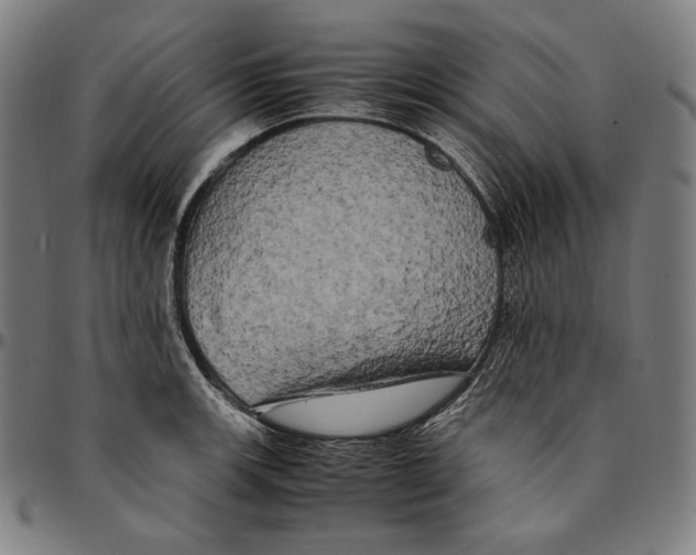 X0000095121139200801041217