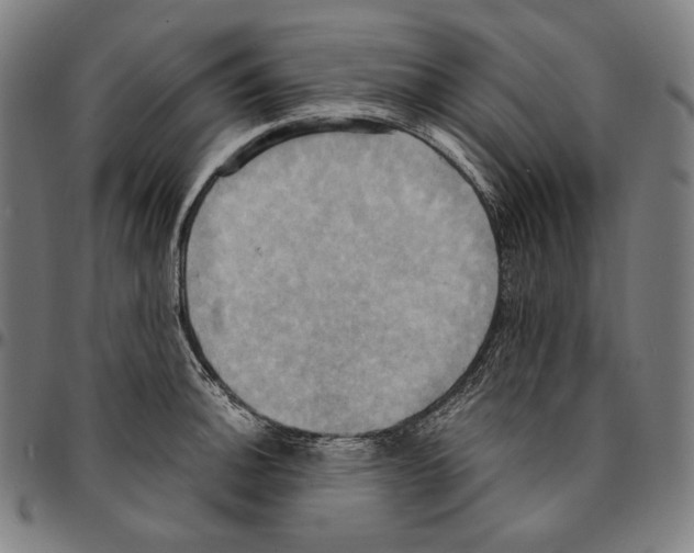 X0000095121140200801041217