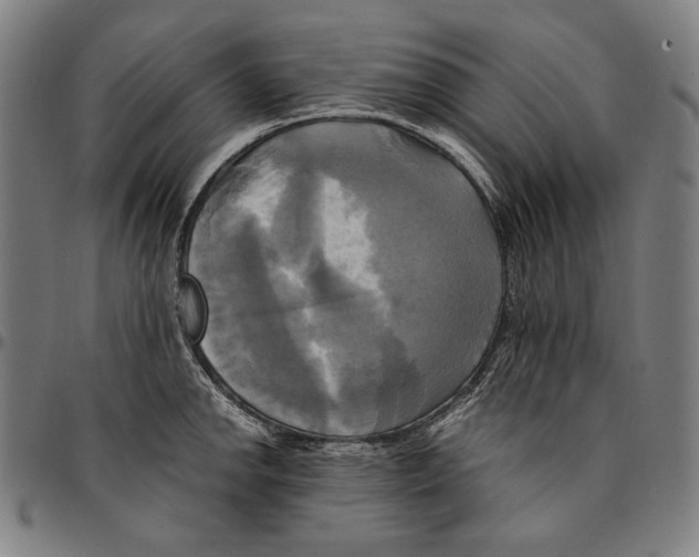 X0000095121142200801041217