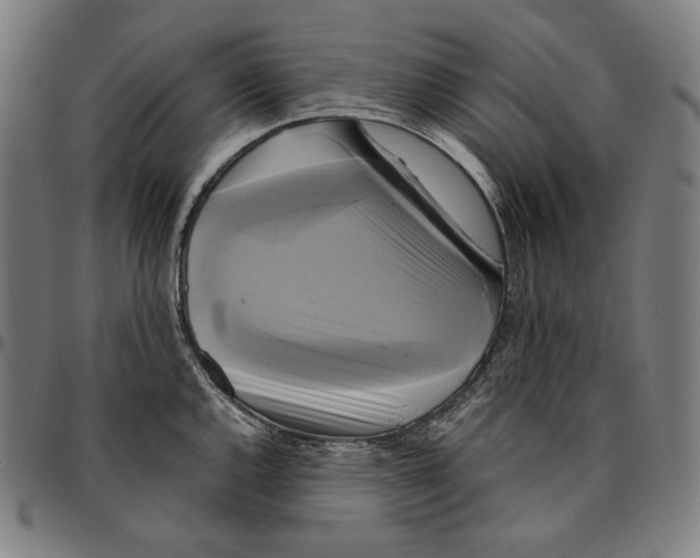 X0000095121144200801041217