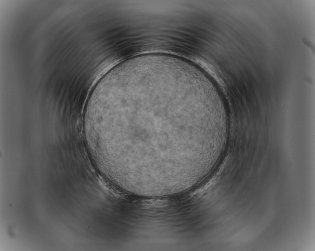 X0000095121145200801041217