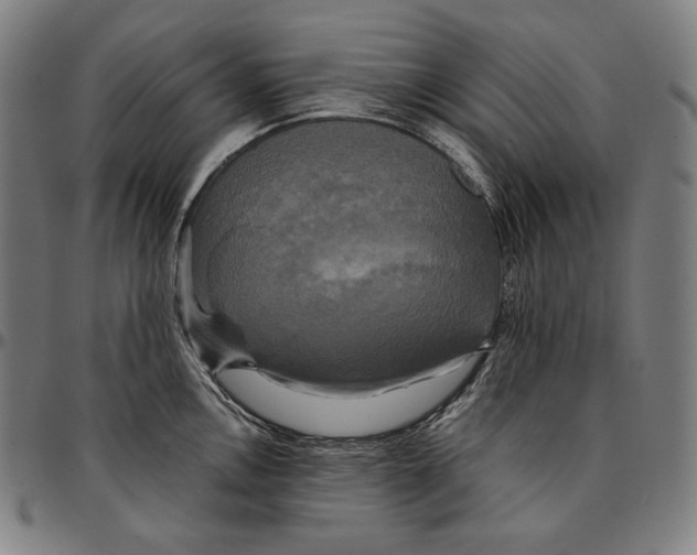 X0000095121146200801041217