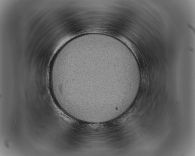 X0000095121147200801041217