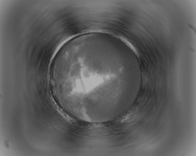 X0000095121148200801041217