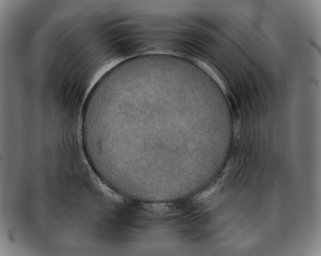 X0000095121149200801041217