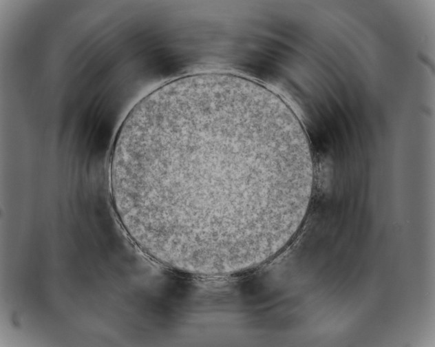 X0000095121150200801041217