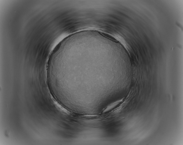 X0000095121151200801041217