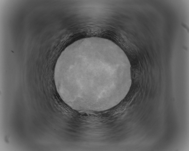 X0000095121153200801041217