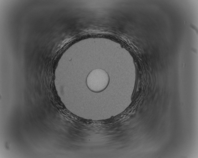 X0000095121157200801041217