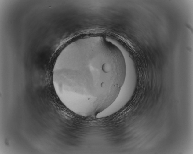 X0000095121160200801041217