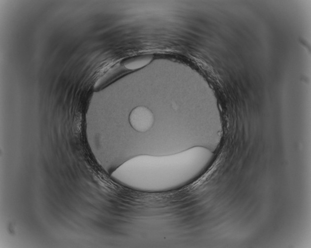 X0000095121161200801041217