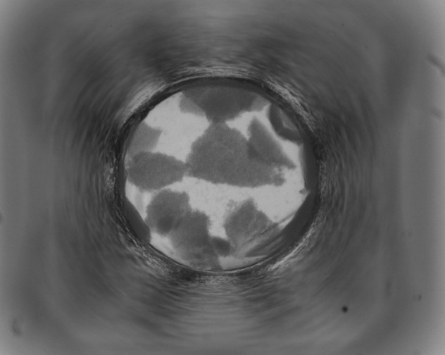 X0000095121163200801041217