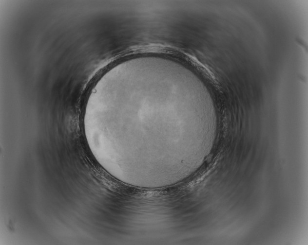 X0000095121166200801041217