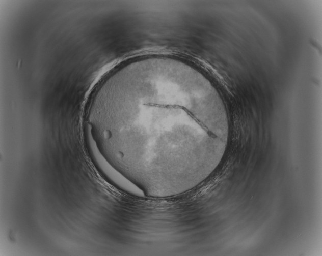 X0000095121168200801041217