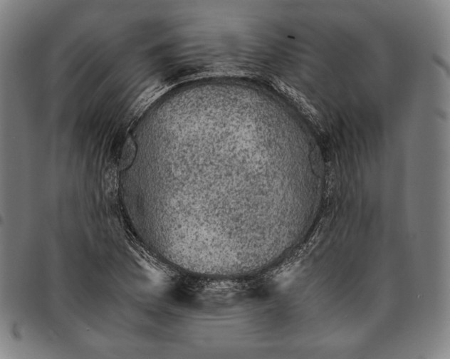 X0000095121169200801041217