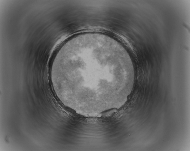 X0000095121172200801041216