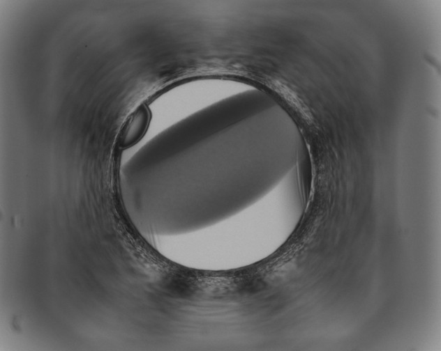 X0000095121173200801041216