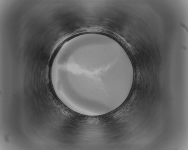 X0000095121174200801041216