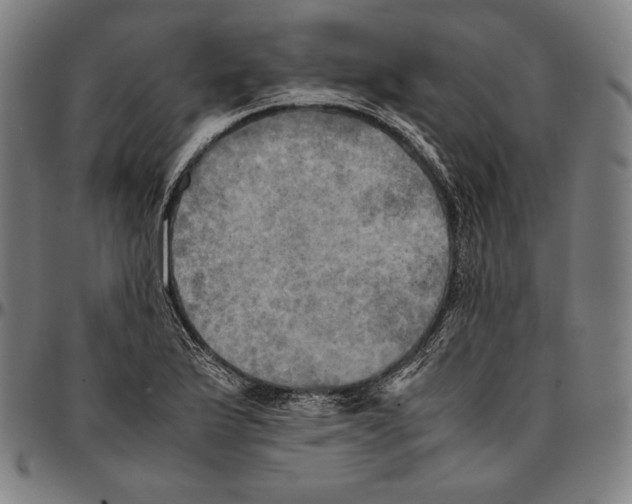 X0000095121175200801041216