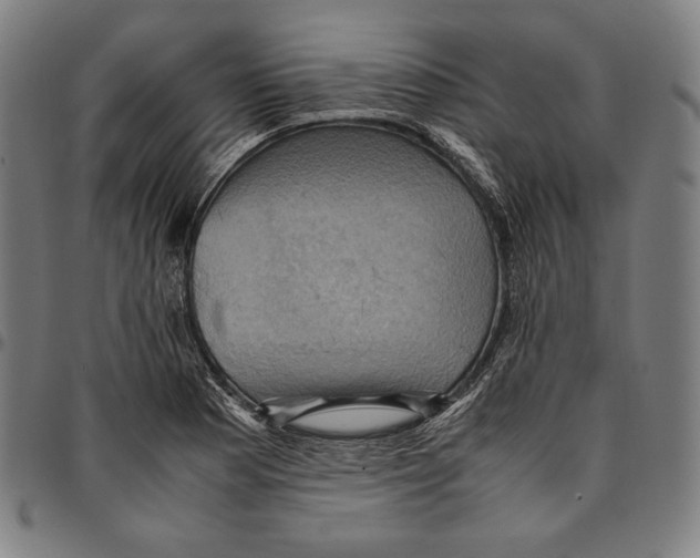 X0000095121177200801041216