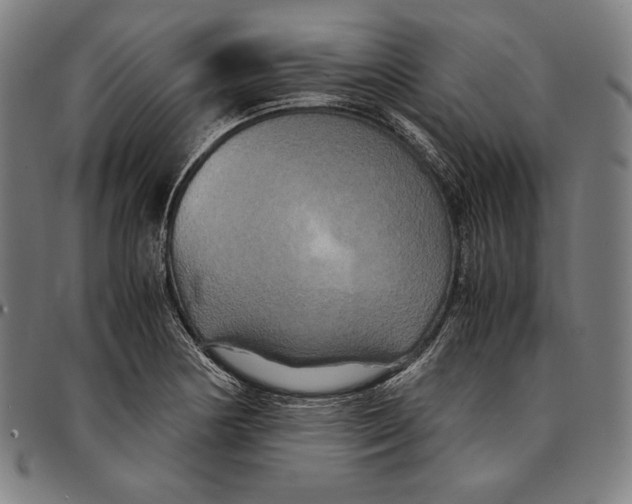 X0000095121178200801041216