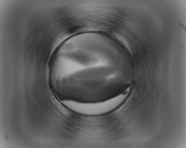 X0000095121179200801041216