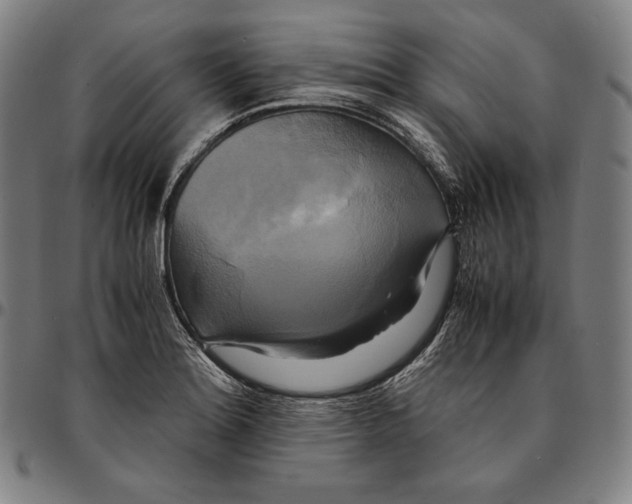 X0000095121180200801041216