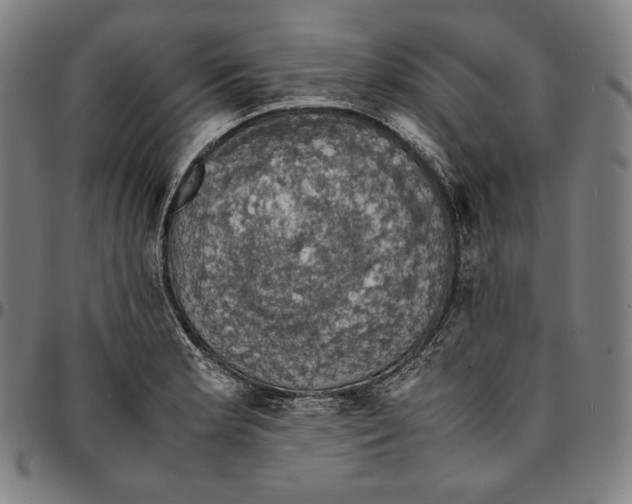 X0000095121181200801041216