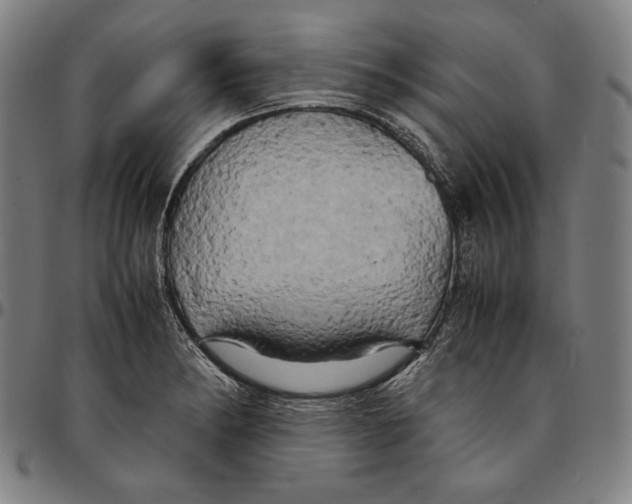 X0000095121182200801041216