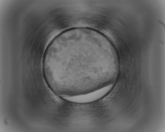 X0000095121183200801041216