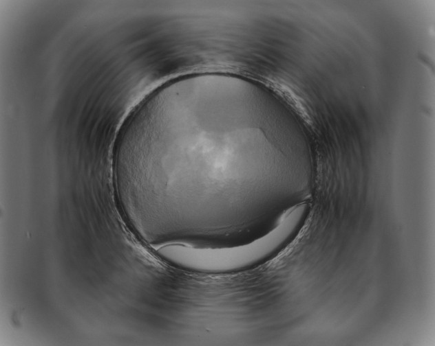 X0000095121184200801041216