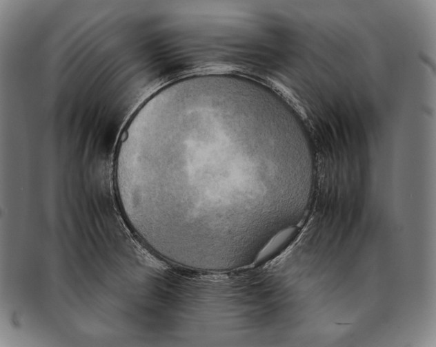 X0000095121186200801041216