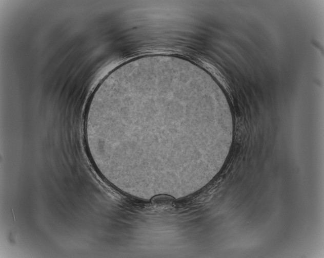 X0000095121187200801041216