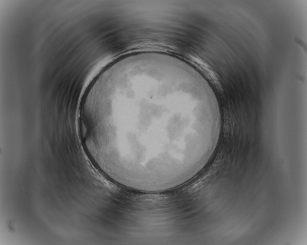 X0000095121188200801041216