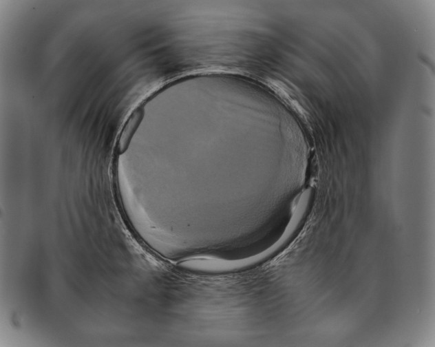 X0000095121189200801041216