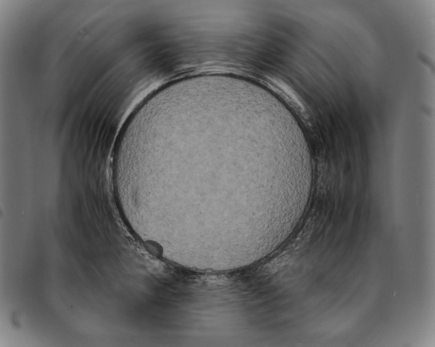 X0000095121190200801041216