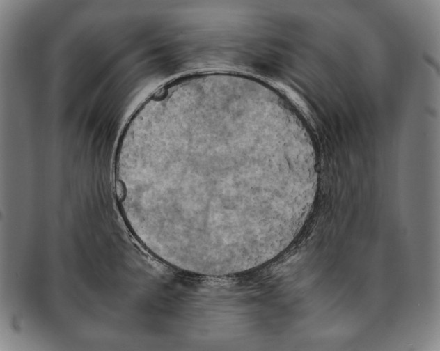 X0000095121191200801041216