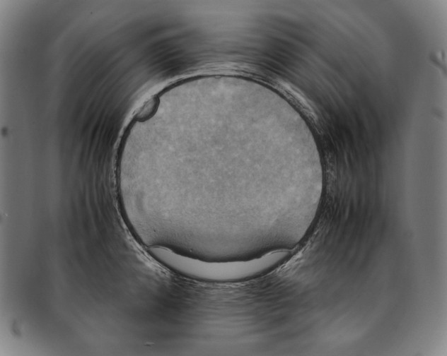 X0000095121192200801041216