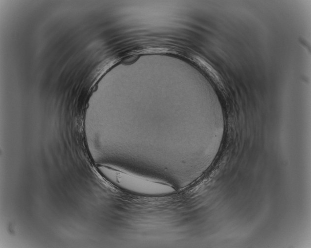 X0000095121193200801041216