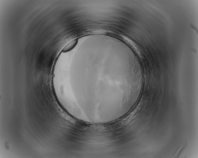 X0000095121194200801041216