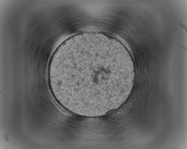 X0000095121195200801041216