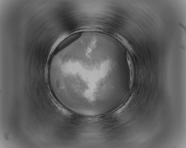 X0000095121196200801041216