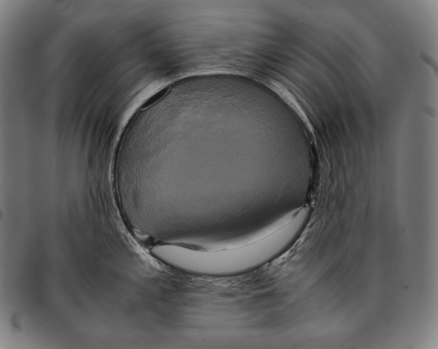 X0000095121197200801041216