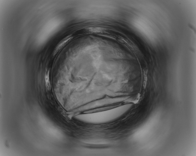 X0000095121198200801041216