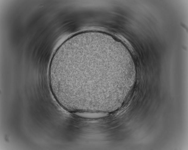 X0000095121199200801041216