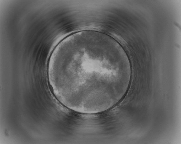 X0000095121200200801041216