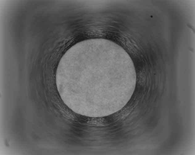 X0000095121201200801041215