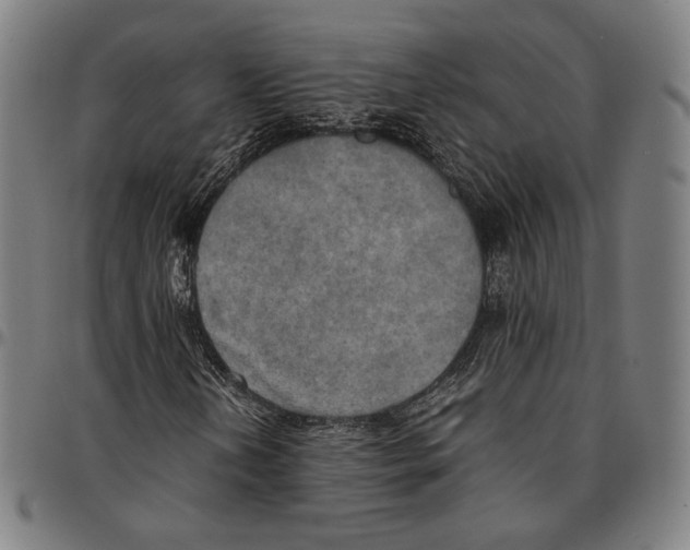 X0000095121202200801041215