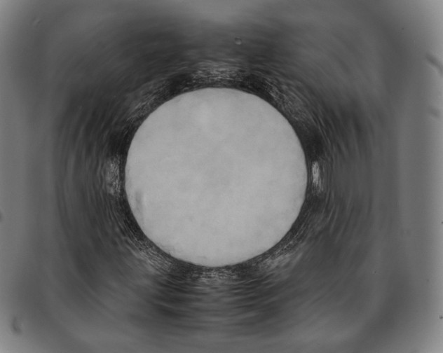 X0000095121203200801041215